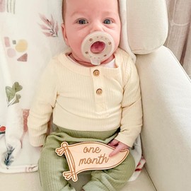 Baby Monthly Milestone, Wooden Baby Milestone Signs, Monthly Milestone Wood Discs, Baby Milestone Discs (S002)