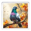 Pigeon Coaster Set. 4 different Pigeon Pictures on 10cm x