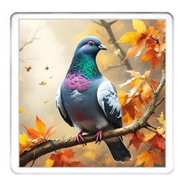 Pigeon Coaster Set. 4 different Pigeon Pictures on 10cm x 10cm Acrylic Coasters. Boxed Coaster Drip Mat Set.