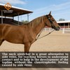 THREE ARCHERS Elastic Horse Training Reins – Adjustable Neck Stretcher