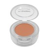 MAC Cosmetics Eye Shadow - Paint By Umber (.05 Oz/1.5g.)