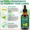 Mullein Leaf Extract for Lung, Mullein Drops, Mullein Leaf Liquid