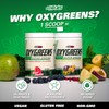 EHP Labs OxyGreens Daily Super Greens Powder - Green Superfood,