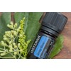 doTERRA Deep Blue Essential Oil Soothing Blend 5 ml (2