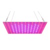 LED Grow Light Red Blue Full Spectrum 81 LEDs Grow