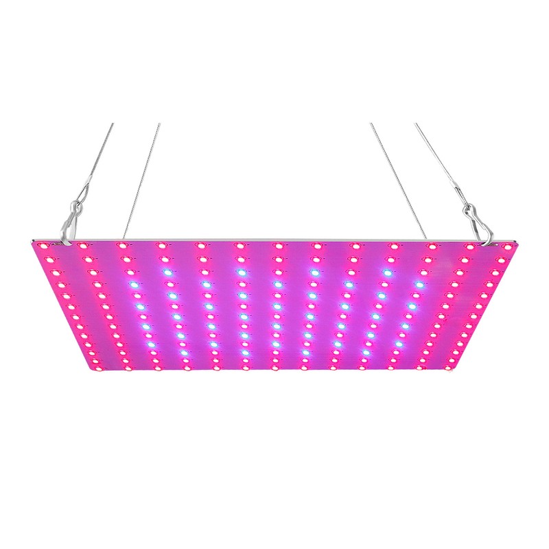 LED Grow Light Red Blue Full Spectrum 81 LEDs Grow