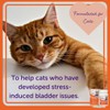 FELIWAY Cystease Advanced Urinary Tract Support for Cats (Pot Size: