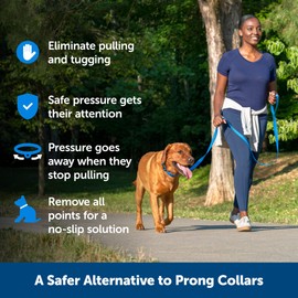 PetSafe Soft Point Training Collar - Helps Stop Pulling - Safer Than Prong or Choke Collars - Teaches Better Leash Manners - No Pull Training Collar with Rubber Points for Dogs - Large, Blue