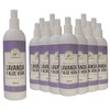 Tonico Facial De Lavanda & Aloe Vera Refresca (Pack 12)