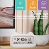 SUIOPPYUW Transparent Multi Functional Intelligent Electronic Alarm Clock for Checking