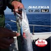Daiwa Saltiga CV Jig SLJ 40g PH Red Gold GB
