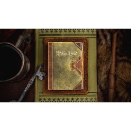 Murphy's Magic Supplies, Inc. Robin Hood Playing Cards by Kings Wild