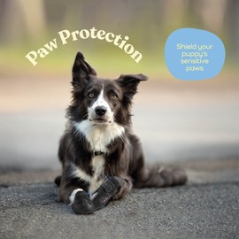 Pitpet Waterproof Dog Shoes - Stylish Designed Shoes for Dogs - Dog Boots with Non-Slip Rubber Bottom Protects Paw from Hot or Cold Pavement, Dog Booties with Reflective Straps for Dogs Safety, Puppy Shoes.