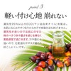 Kureru αα Screen Fan II [Mini] 0.3 oz (10 g)