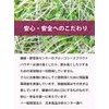 Health & Wild Grass Tea Center, Broccoli Sprout (Made in