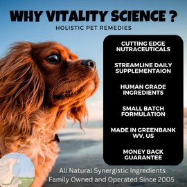 Vitality Science Celloquent for Dogs | Enhanced Immune Support | Maintains Proper Gut pH | Boosts Organ Function | Aids Detoxification & Healthy Inflammatory Response | 100% Safe and Natural (220g)