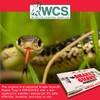 Snake Guard® Snake Trap by Wildlife Control Supplies – Weather