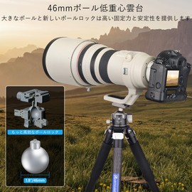 ARTCISE 46mm Low Center of Gravity Ball Head CNC Machined Aluminum 360 Degree Rotation Panoramic Ball Head Arca-Swiss Compatible Quick Shoe Free Head SLR DSLR Video Camera Max Load 20kg