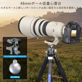 ARTCISE 46mm Low Center of Gravity Ball Head CNC Machined Aluminum 360 Degree Rotation Panoramic Ball Head Arca-Swiss Compatible Quick Shoe Free Head SLR DSLR Video Camera Max Load 20kg