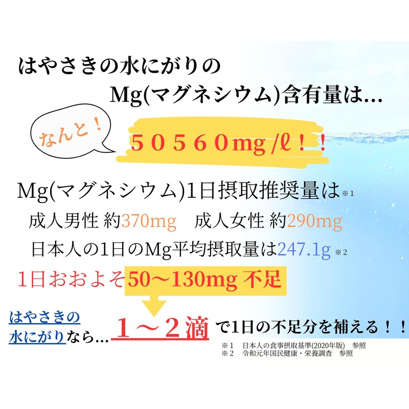 にがり はやさき水にがり 350ml 希少 食用 天然にがり 完全天日塩 人工加熱していないから海の栄養たっぷり マグネシウム Mg