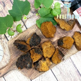 Pure Young Russian Chaga Mushroom Powder 150g Chaga Mushroom Collection / 퓨어영 러시아 차가버섯 분말 150g 차가버섯모음