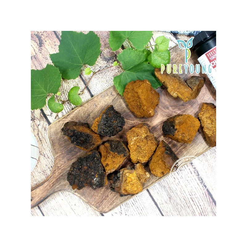 Pure Young Russian Chaga Mushroom Powder 150g Chaga Mushroom Collection