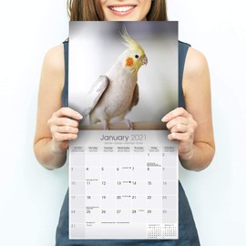 Cockatiels Calendar 2022 - Monthly Wall Calendar 2021-2022 - Made In USA - 12 x 24 (Open), Wall Calendar with Holidays and Moon Phases Lunar Calendar, Planner Calendar for Organizing & Planning
