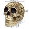 READAEER Life-Size Skeleton Replica Realistic Human Skull Head Bone Model