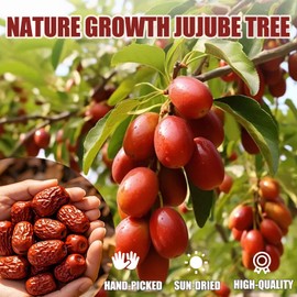 Premium Jujube Date 1LB/453g,Chinese Red Date Organic 100% Natural Sweet and Chewy Health Snack Dried Jujube for Snacking, Tea, Soup, Baking, or Oatmeal