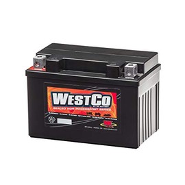 WestCo 12V9-B Factory Activated Maintenance-Free Rechargeable Sealed Lead-Acid Battery by MK Battery