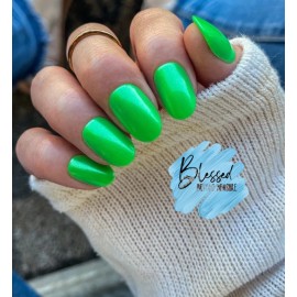 Red Aspen Press On Nails~Succulen