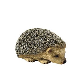 StealStreet 3-Inch Animal Figure Hedgehog Hunched Down Collectible Display