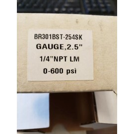 BLUE RIBBON NEW BLUE RIBBON Pressure Gauge 2.5" 0-600 PSI 1/4" NPT LM BR301BST-254SK ( E2-4)
