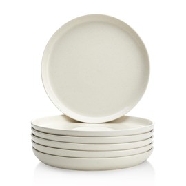 Sweese Porcelain Dinner Plates Set, 10 Inch, Round Salad Plates, Dove Gray - Dishwasher, Microwave Oven Safe