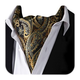 HISDERN RC-01 Ascot Tie Men's Silk Neckerchief Scarf, Fashionable, Paisley Pattern, 24 Popular Patterns, Business, Formal, Free size