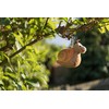 Adele Plush Keyring Snail
