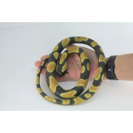 Collectible Wildlife Gifts Ball Python Snake, Rubber Snake Toy, Realistic, Replica, Gift, 42" WR23 BB316