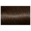 Garnier Nutrisse Permanent Hair Colour 4 Tamarind Dark Brown