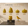 Funny Owl & Pumpkin Figurine Decorative Statue for Fall, Halloween