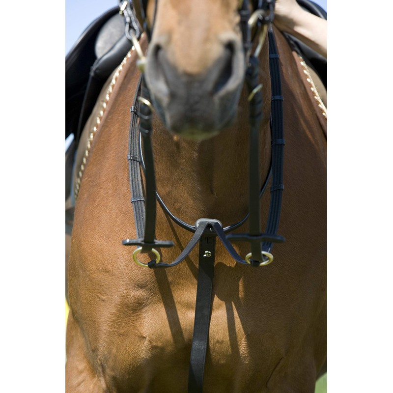 Kieffer Belinda Martingale