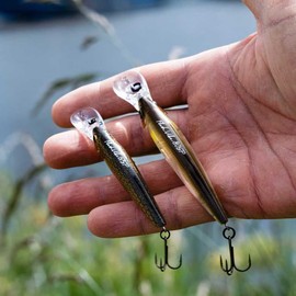 LMAB Flash Vibe 67, 80 & 98 mm - Twitchbait - Suspending & Floating, Hardbait, Wobbler Perch, Suspender Wobbler, Zander Wobbler (Running Depth 1.0-2.0 m | Floating/Suspending, Ayu, 67 mm)