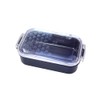 Tatsumiya 30441 Japanese Pattern Fred Long Rectangular Lunch Blue Sea