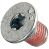 HELLA PAGID 8DZ 355 209-021 Bolt, brake disc, Rear Axle