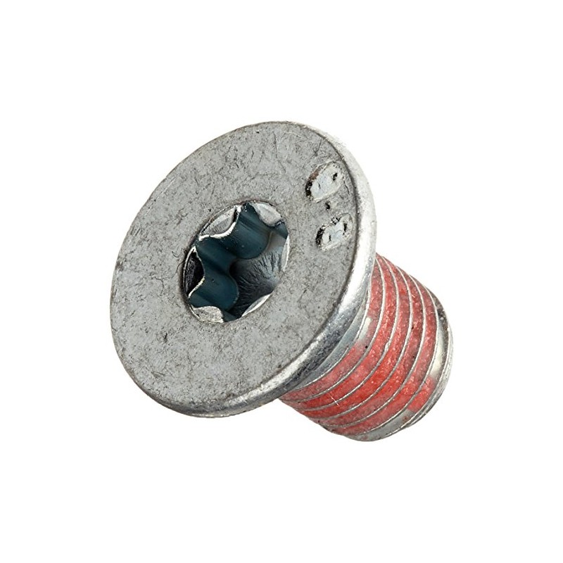 HELLA PAGID 8DZ 355 209-021 Bolt, brake disc, Rear Axle