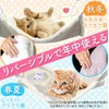 Cat Hammock, 22.8 x 18.9 inches (58 x 48 cm),