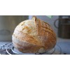 Heritage Sour SOURDOUGH STARTER DEHYDRATED ORGANIC SOUR EAST TENNESSEE -