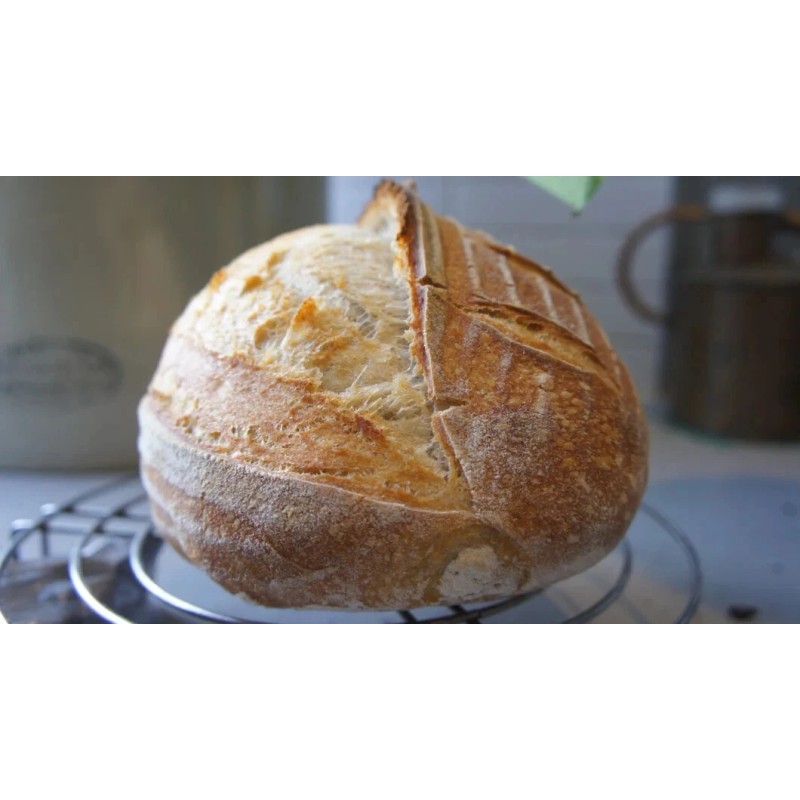 Heritage Sour SOURDOUGH STARTER DEHYDRATED ORGANIC SOUR EAST TENNESSEE -