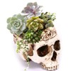 Creative Flower Pot, Resin Skull Shaped Head Design Flower Pot