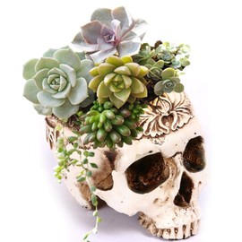 Creative Flower Pot, Resin Skull Shaped Head Design Flower Pot Planter Container Decor for Home Office Desk (A)