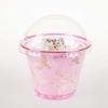 Golden Apple, 9oz-25sets Pink Red Plastic Cups with Clear Dome